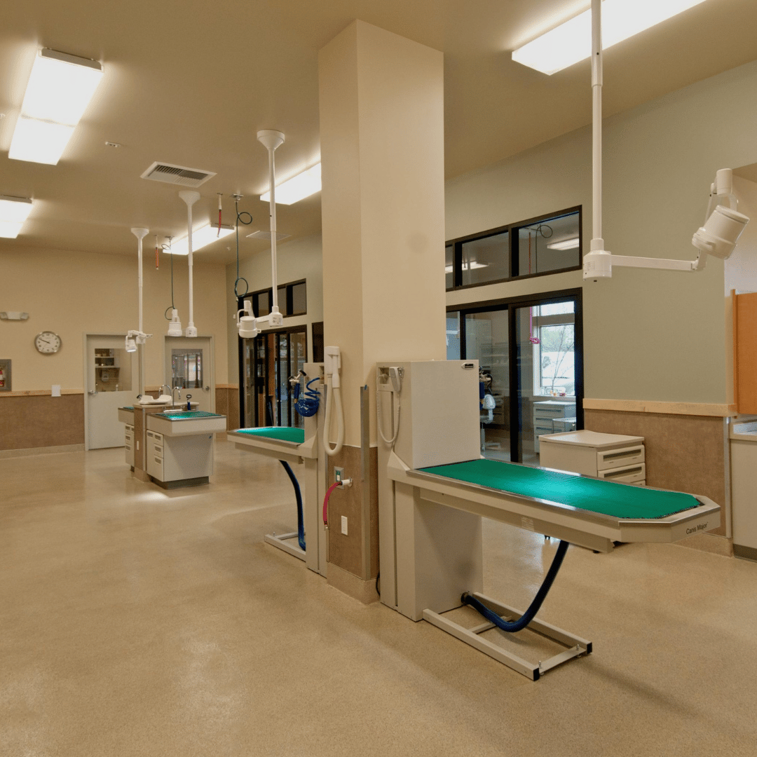 Commercial & industrial general contracting